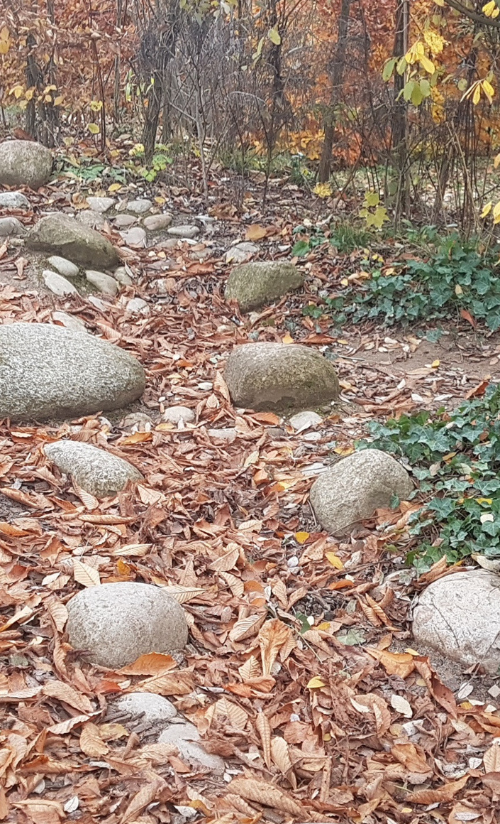 Rettet den Hügel!