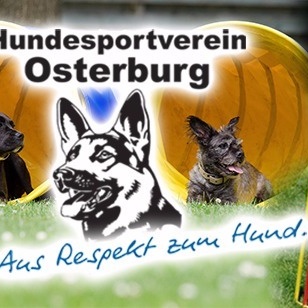 Errichtung eines Hindernis-/Agility-Parcours