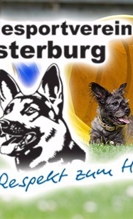 Errichtung eines Hindernis-/Agility-Parcours