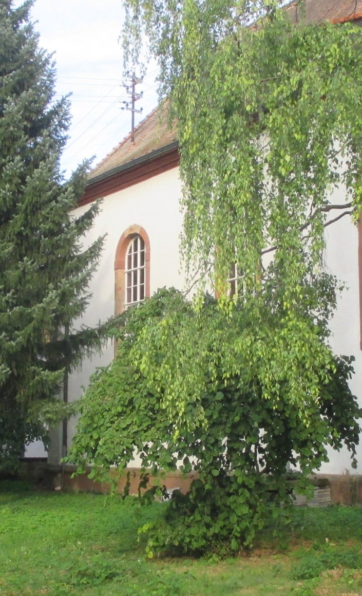 Erschließung "Wingerter" Kirchengarten