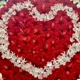 Vom Samen zur Blume