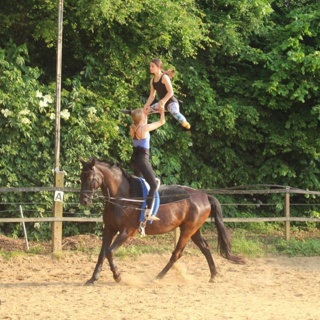 Schnuppervolti für Nicht-Vereinsmitglieder