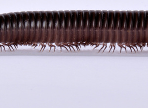 Vivarium Oesede - Neuer Raum sucht neue Technik