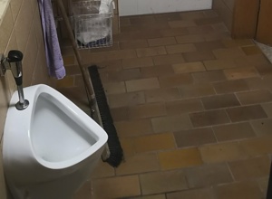 Renovierung Tanzsaal/WC-Räume