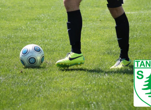 Sportplatzinstandsetzung inkl. neuer Tore