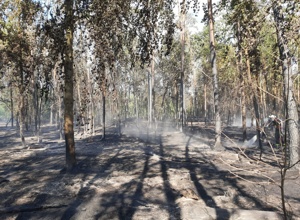 Waldbrand- & Rettungsfahrzeug für die Feuerwehr Oberhaid