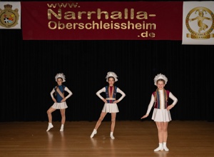 Pflege des Brauchtums "Fasching" Narrhalla Oberschleißheim e.V.