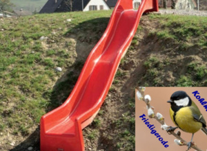 Kindergruppe "Die Kohlmeisen" im HKVF