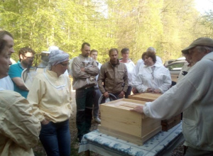 Erweiterung des Lehrbienenstands Eichetwald