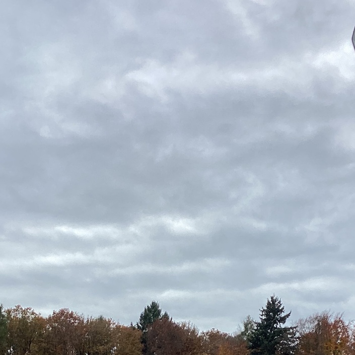 Modernisierung der 60 Jahre alten Flutlichtanlage auf moderne LED