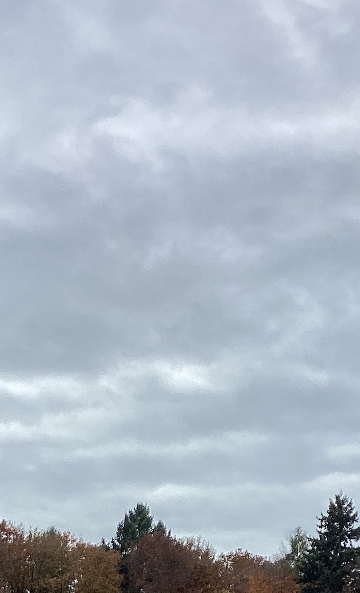 Modernisierung der 60 Jahre alten Flutlichtanlage auf moderne LED