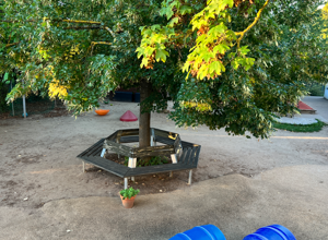 Neugestaltung Außenanlage Kindergarten Am Marienheim