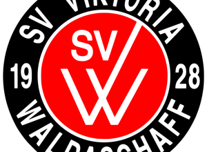 Dart-, Freizeit- und Jugendraum SV Viktoria Waldaschaff