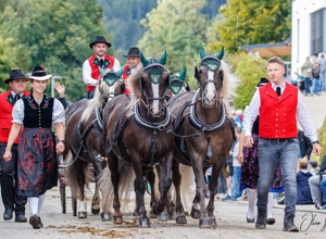 Neuer Hallenboden für unsere Reithalle
