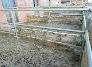 Erneuerung der Paddocks für Voltigierpferde