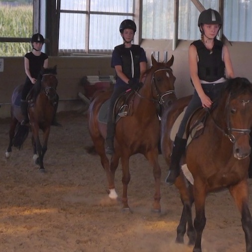 Sanierung des Reitplatzes in Bad Laer