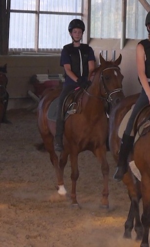 Sanierung des Reitplatzes in Bad Laer