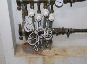 Alle für die Schützenhalle Anstel