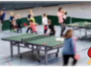Höhenverstellbare Tischtennisplatte und Kinderschläger