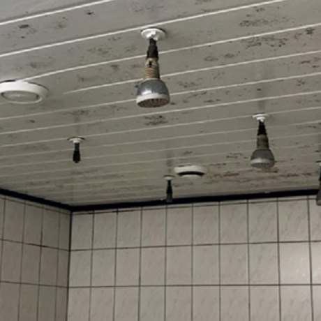 Neubau und Umgestaltung Umkleideräume TVK