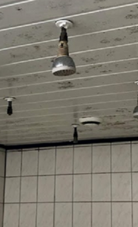 Neubau und Umgestaltung Umkleideräume TVK