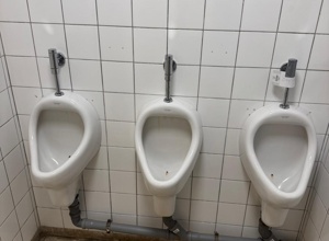 Renovierung Sanitärräume Vereinsheim der Narrenzunft Rommelsbach e.V