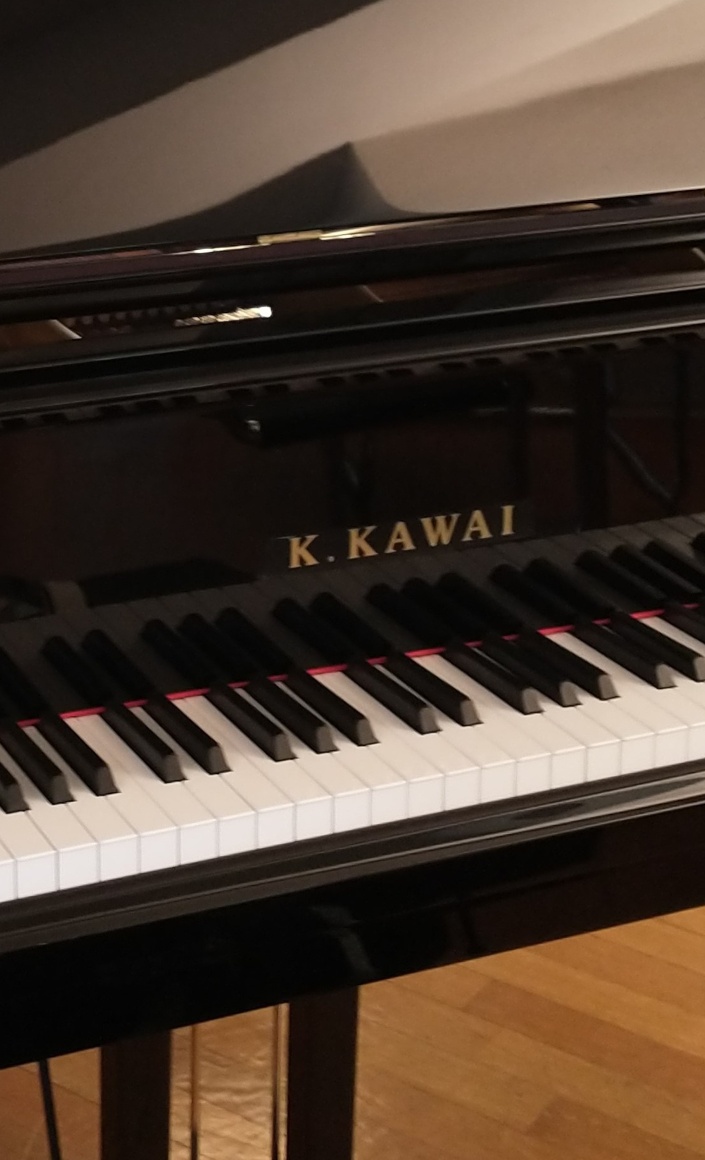 Flügelpaten gesucht - Förderverein Musikschule Bottrop e.v.