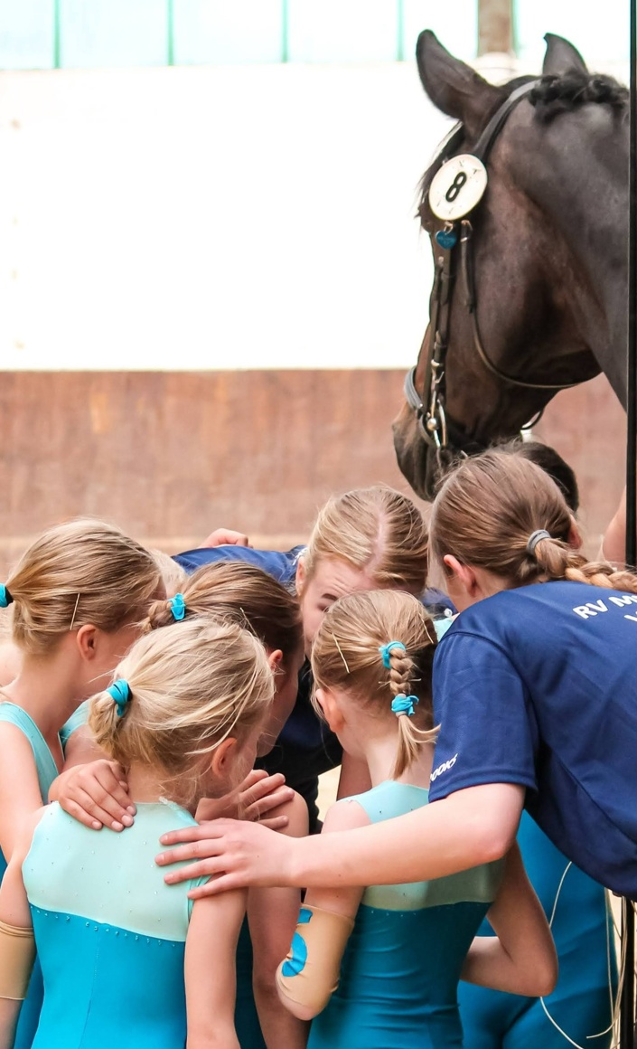 Ein Voltigierpferd für die Jugend des RFV Münster Sprakel e.V.