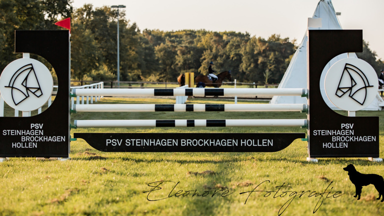 Neuanschaffung Dressurviereck und Trainingsparcours