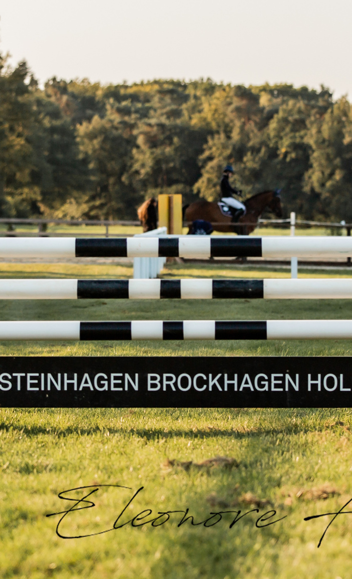Neuanschaffung Dressurviereck und Trainingsparcours