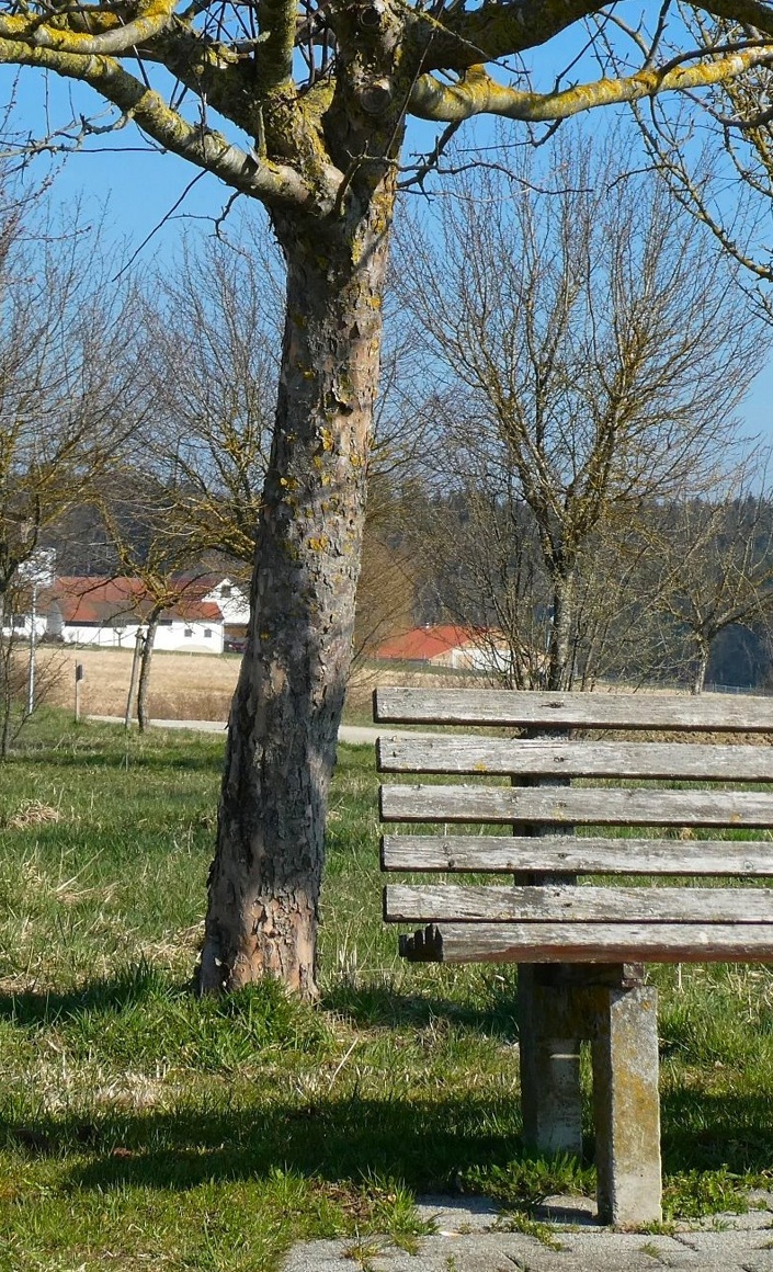 Erhalt der Streuobstbäume