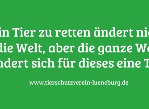 Wäschetrockner für das Hundehaus