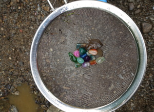 Waldwoche 2026 KiTa Flachsspreite Idar