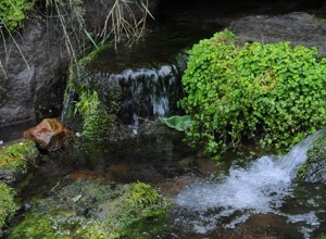 Video - Quellen im Spessart