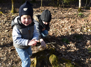 Waldwoche im Zwergenland