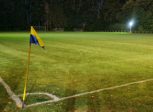 Mit LED Flutlicht Energie sparen
