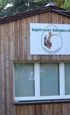 Schutzzaun Vogelbiotop