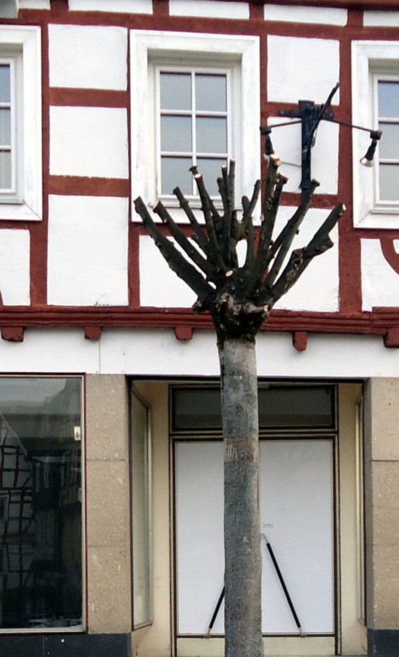 Ausstellungsräume für KLIO