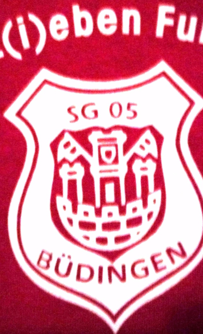Neue Fußballtore für den Rasenplatz der SG 05 Büdingen