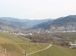 Aussichtsplattform am Bienenberg