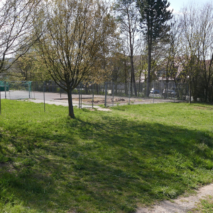 Boule - Spiel und Spaß für Jung und Alt