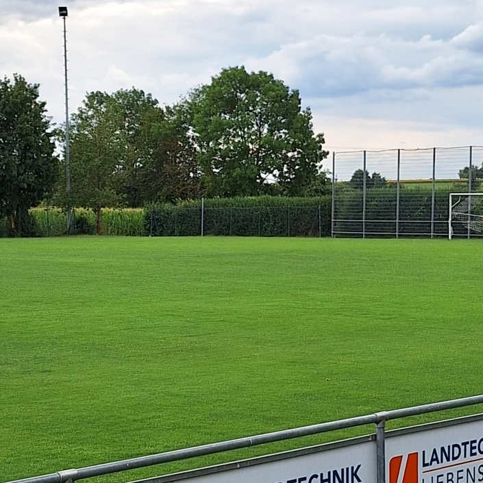 Erhaltungs- und Regenerationspflege der beiden Spielfelder