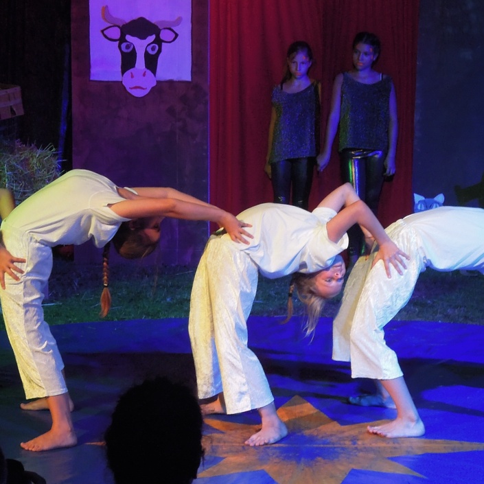Schule trifft Manege