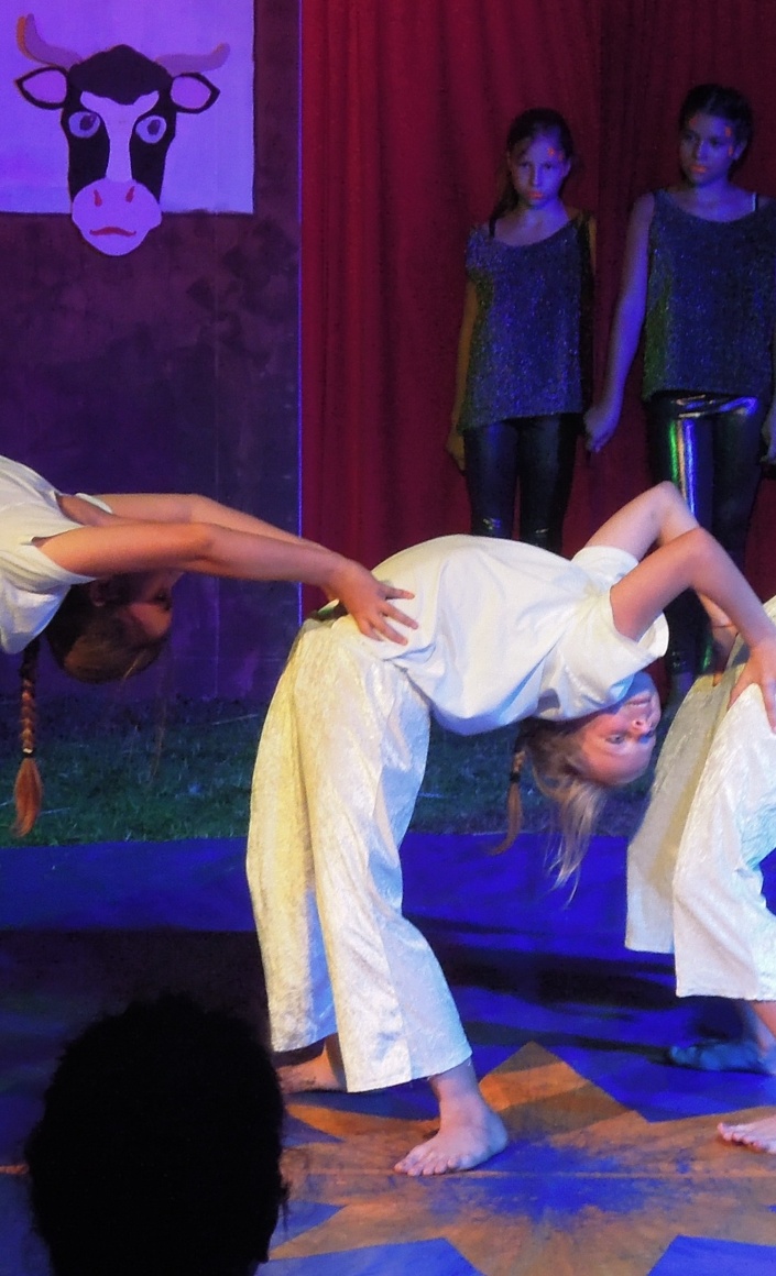Schule trifft Manege
