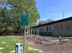 Kletterspinne für den Schulhof