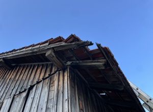 Sanierung Schafstall