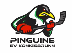 Kleinfeldtore für die U9 Mannschaft und Laufschule des EV Königsbrunn