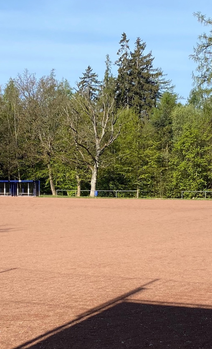 Modernisierung des Fußball-Platzes in Rambach