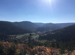 Panoramaschaukel in Obertal-Buhlbach