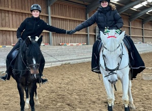 Ein neues Schulpferd für den Reitverein Böblingen